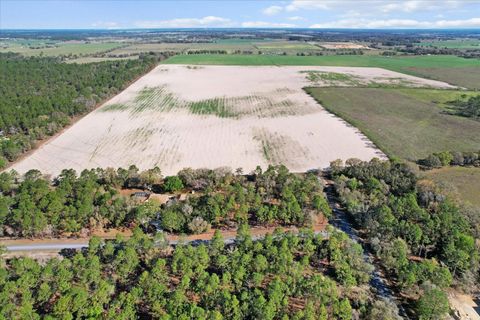 Tiny photo for 190 NW 225th Avenue, Dunnellon, FL 34431 (MLS # G5094195)