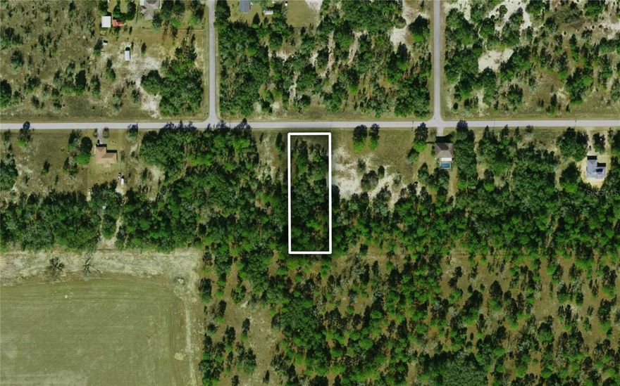 Discover the possibilities with this flexible homesite in the growing community of Rainbow Lakes Estates in Dunnellon! Situated along a paved road, this 1.04-acre parcel provides plenty of space to design and build your custom home from the ground up with ample opportunity for outdoor living and recreational use. With no HOA in place there is lots of potential in planning your build, while the flat, wooded landscape allows you to shape the setting to your preference. Enjoy the natural beauty of the Rainbow River and Rainbow Springs State Park, located just a short drive away for a variety of kayaking, swimming, and scenic trails. Daily conveniences are easily accessible in Dunnellon’s town center, while expanded shopping and entertainment opportunities are just a scenic drive away in Ocala. Whether you’re looking for the perfect place for your home, a seasonal getaway, or simply a long-term investment, this is an ideal option to consider!