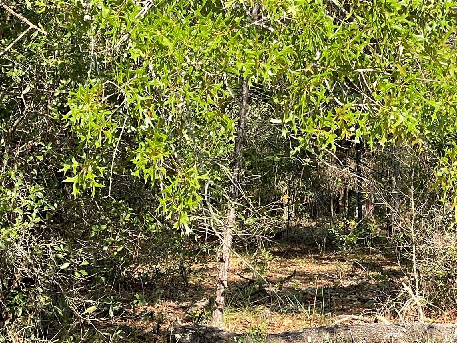 UNREC TRACTS IN 267-17S-19E - Land