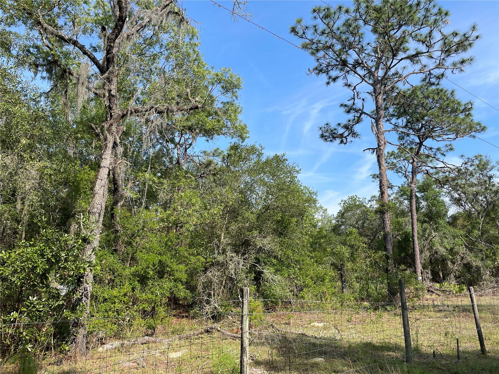 UNREC TRACTS IN 267-17S-19E - Land