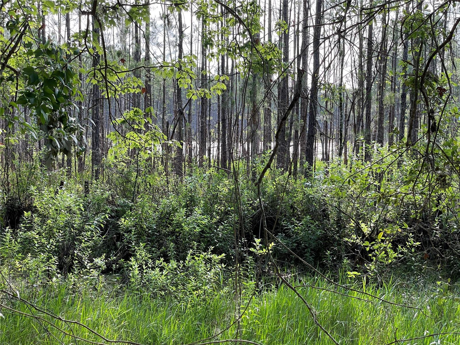 UNREC TRACTS IN 267-17S-19E - Land