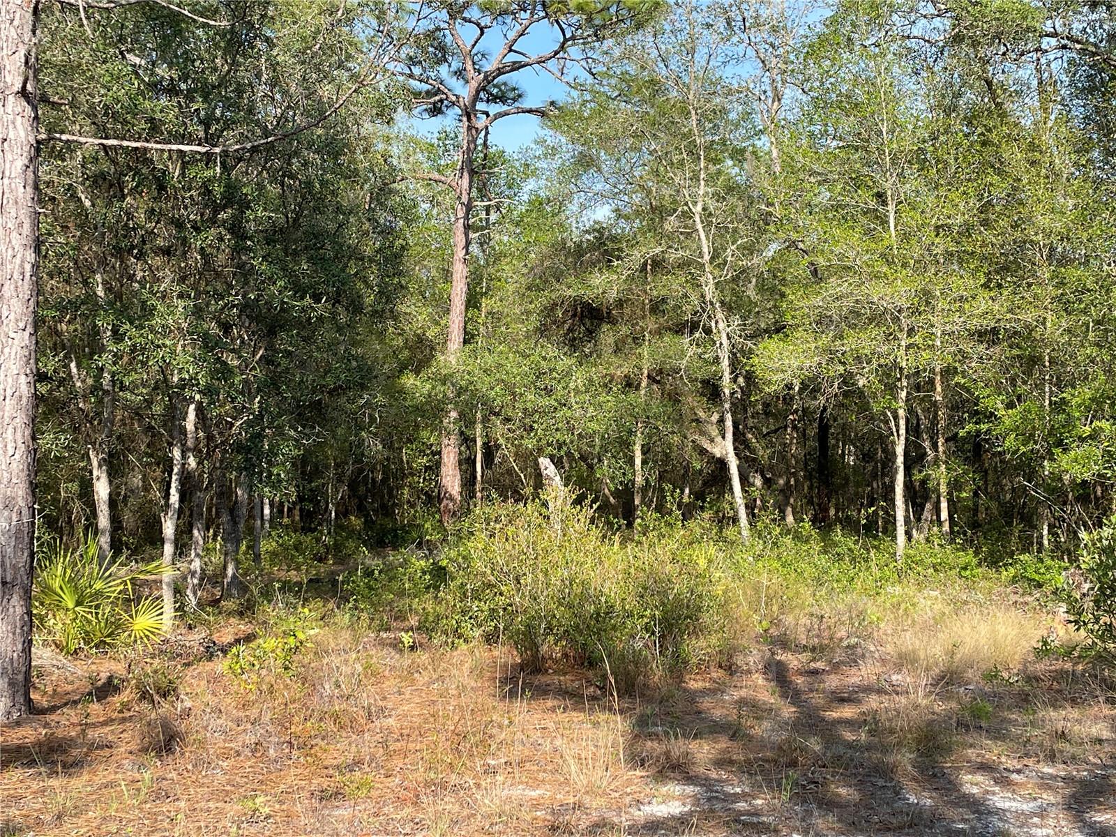 UNREC TRACTS IN 267-17S-19E - Land