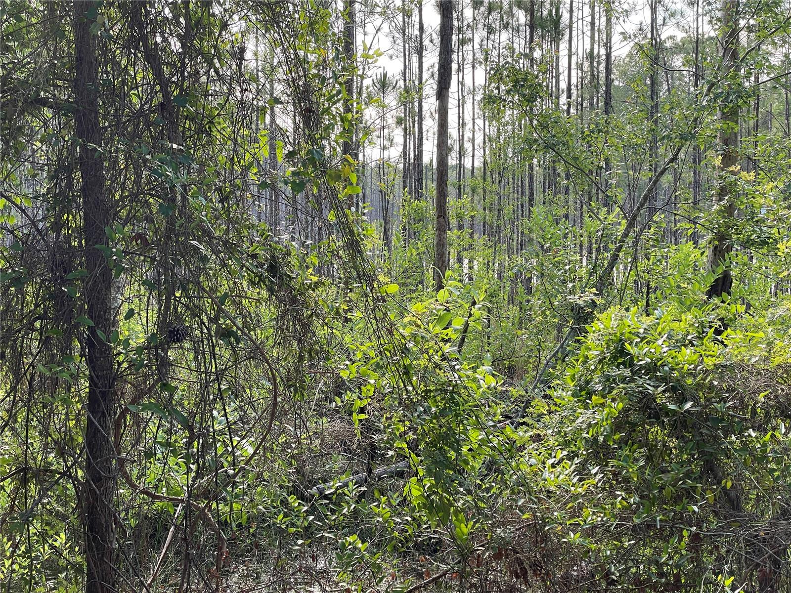 UNREC TRACTS IN 267-17S-19E - Land