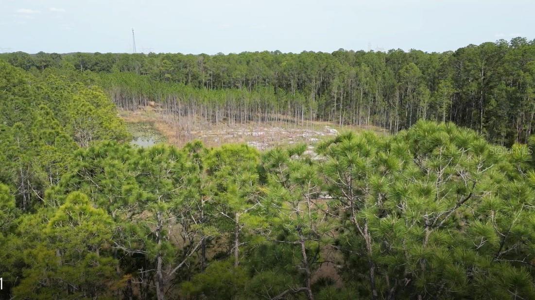 UNREC TRACTS IN 267-17S-19E - Land