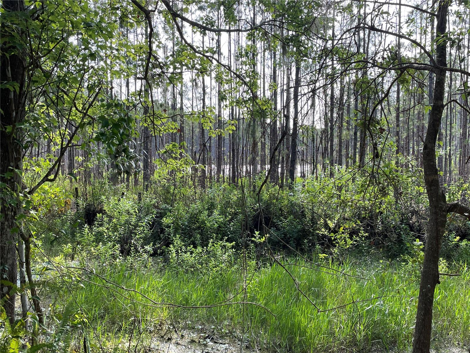 UNREC TRACTS IN 267-17S-19E - Land