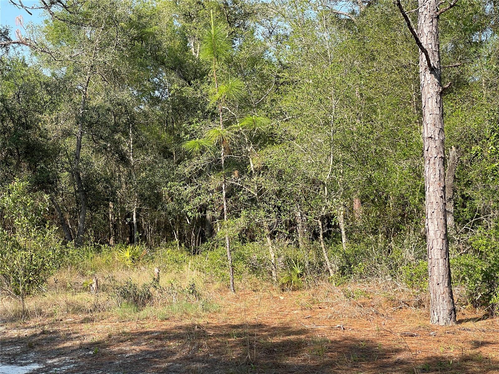 UNREC TRACTS IN 267-17S-19E - Land