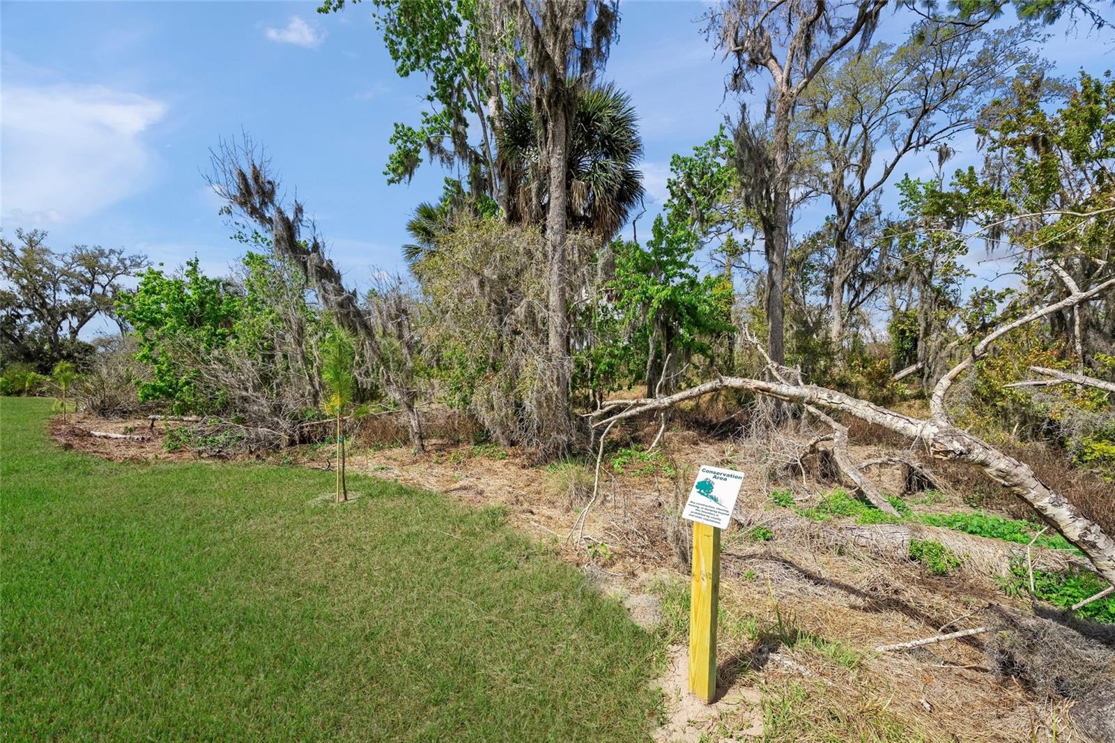 AZARIO ESPLANADE PH II SUBPH A, B & C - Residential