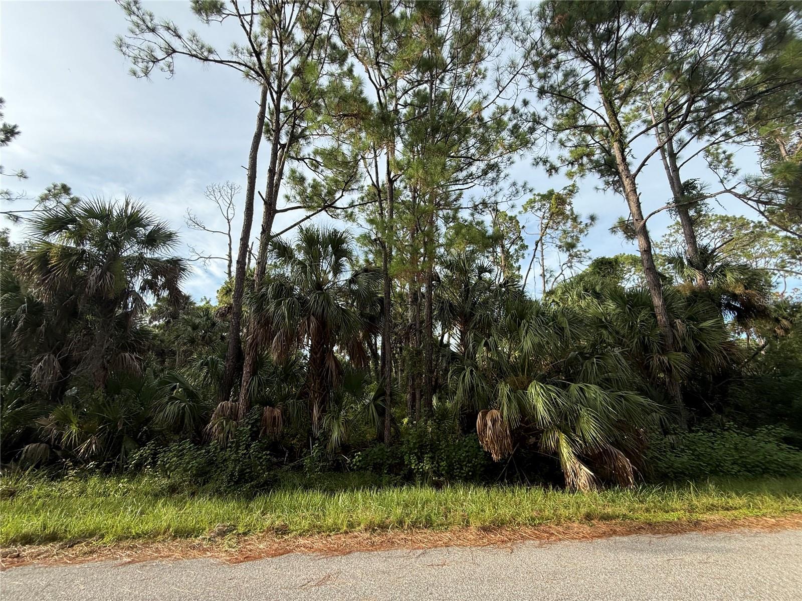 PORT CHARLOTTE SUB 25 - Land