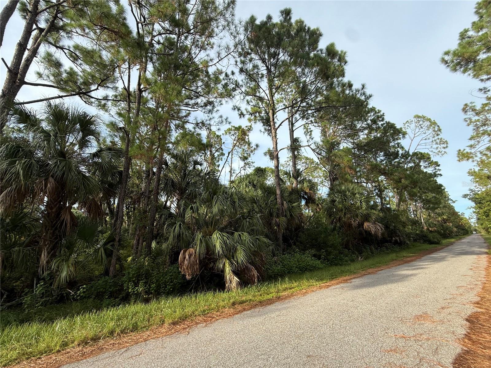 Don't miss this exciting opportunity to own a vacant lot in one of Florida’s fastest-growing cities—North Port! This buildable lot is located in a peaceful area with no HOA fees, no deed restrictions, and no CDDs. Surrounded by new construction and development, this homesite offers the freedom to design your own home or the flexibility to invest for the future. North Port continues to expand rapidly with new shops, dining, parks, and community features. Enjoy close proximity to I-75 for easy commuting and access to multiple beautiful Gulf Coast beaches. Whether you’re planning to build, invest, or simply hold for future value, this lot checks all the boxes. Don’t miss your chance to be part of this thriving and dynamic Florida community!