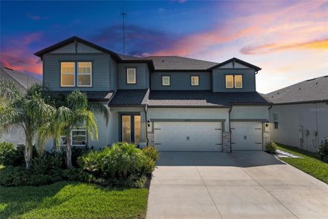 13071 WILLOW GROVE DRIVE RIVERVIEW FL 33579