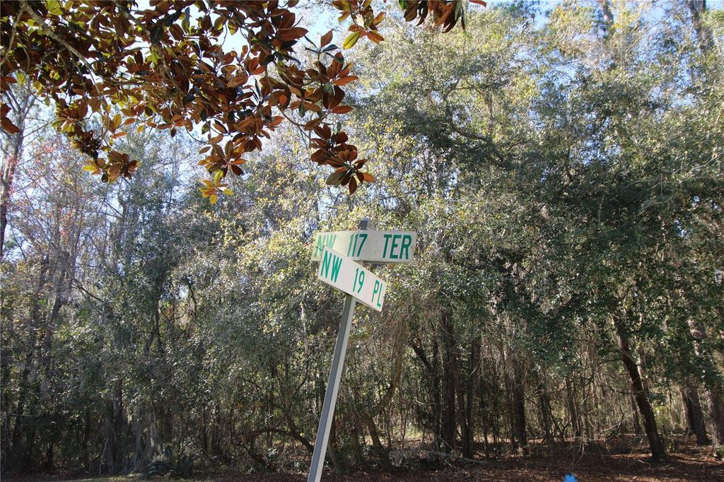 Photo of 11685 NW 19th Place, Gainesville, FL 32606 (MLS # GC536269)