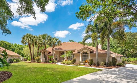 A home in ORLANDO