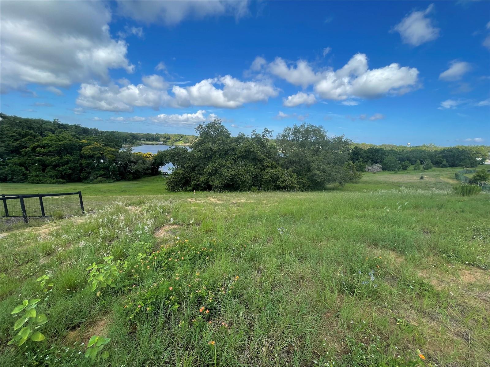 LAKE NETTIE RESERVE - Land