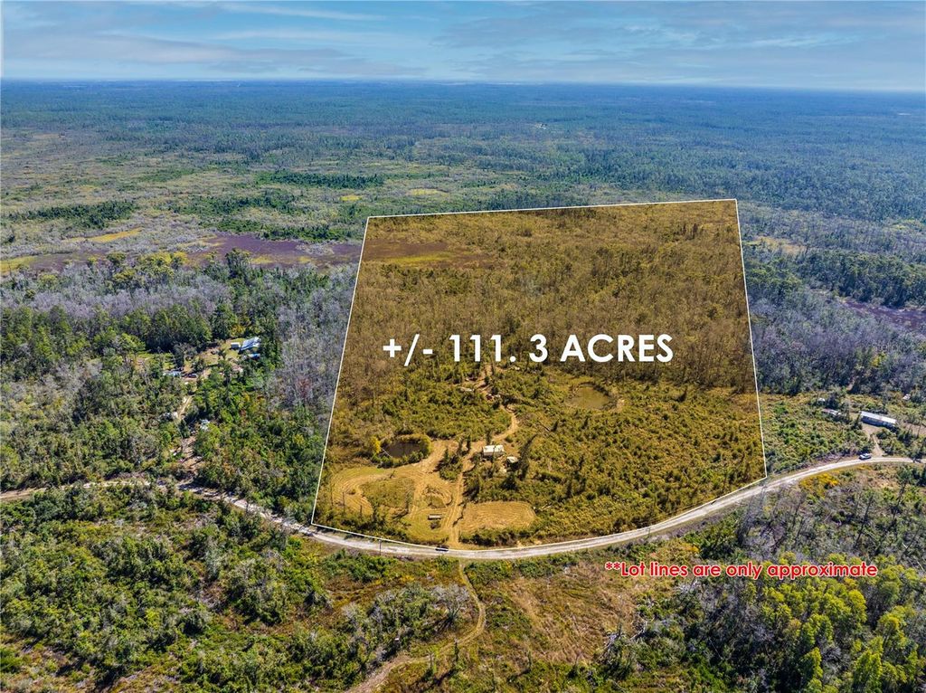 Photo of 9122 SW Tower Road, Madison, FL 32340 (MLS # C7516644)