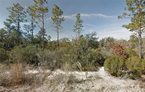 Photo of NE 100th Avenue, Bronson, FL 32621 (MLS # OM721954)