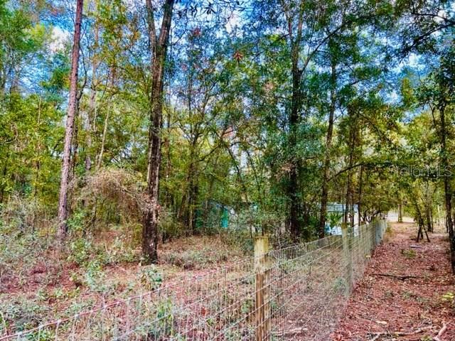 SUWANNEE RIVER ESTATES - Land