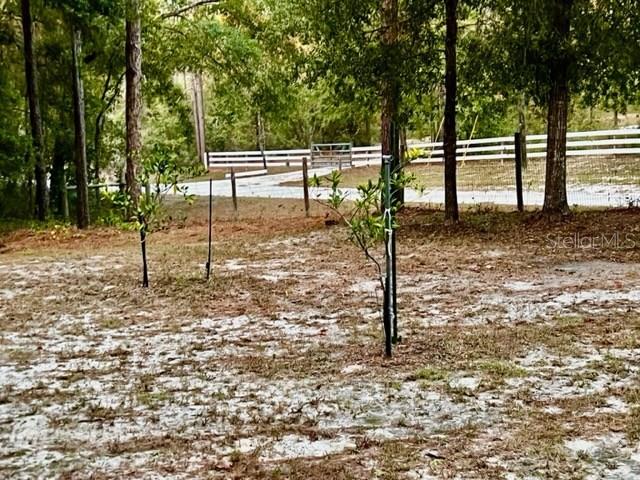 SUWANNEE RIVER ESTATES - Land