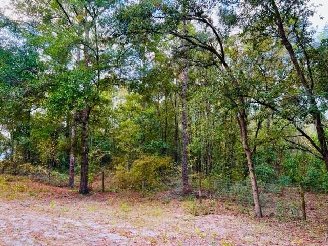 SUWANNEE RIVER ESTATES - Land