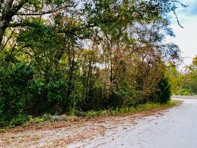 SUWANNEE RIVER ESTATES - Land