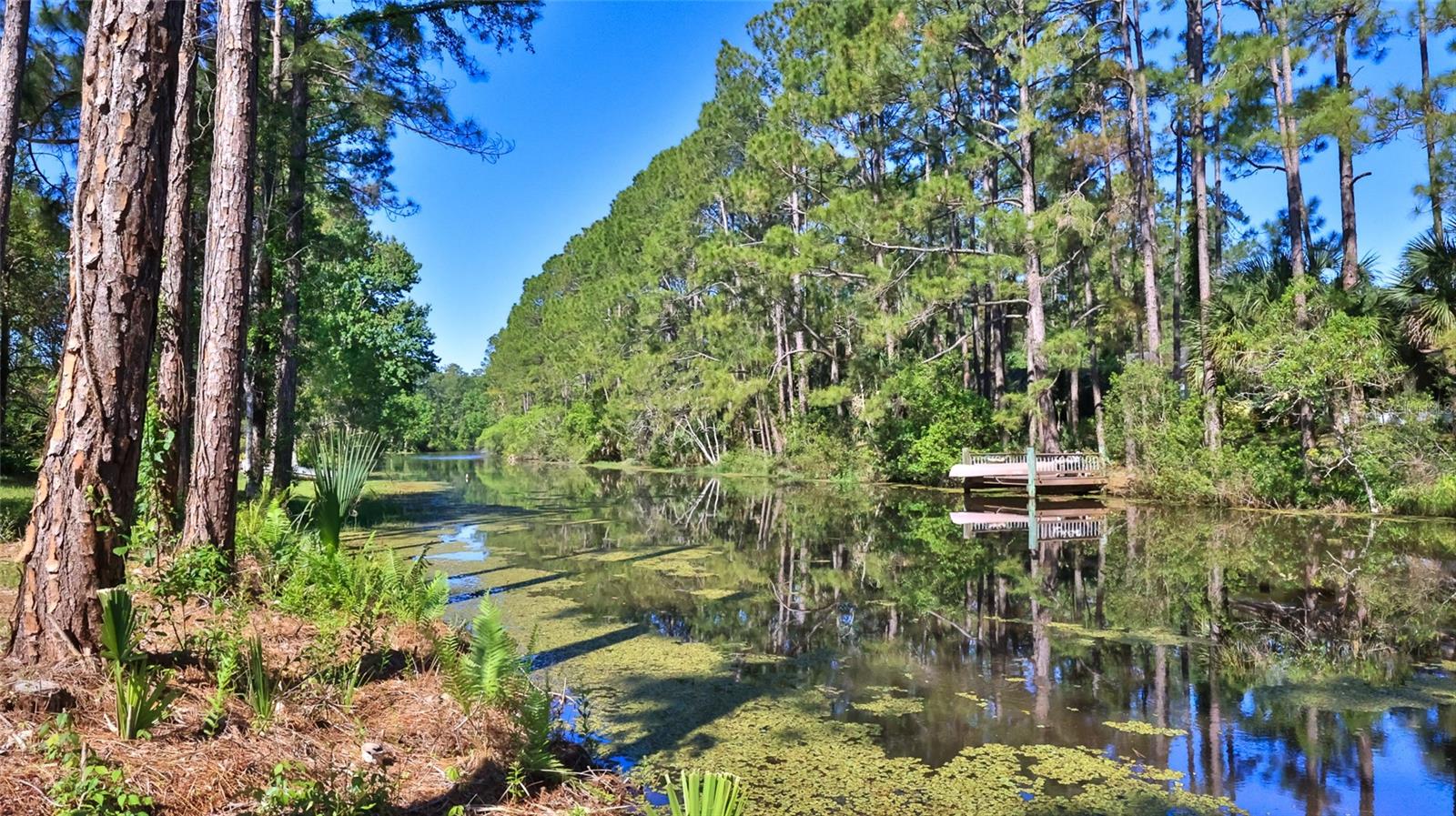 The property is ready for quick closing. The property is on one of our charming fresh water canals, has a shed for outside storage. Fresh water fishing is a delight from your back yard. The inside features 3 bedroom and two baths, wood and designer tile floors.
Many extras features, plus 309 sf office or private space and 160 sf screened patio. Must see to appreciate Agent if needed is offering to buyer dock space with power & water to 50'.