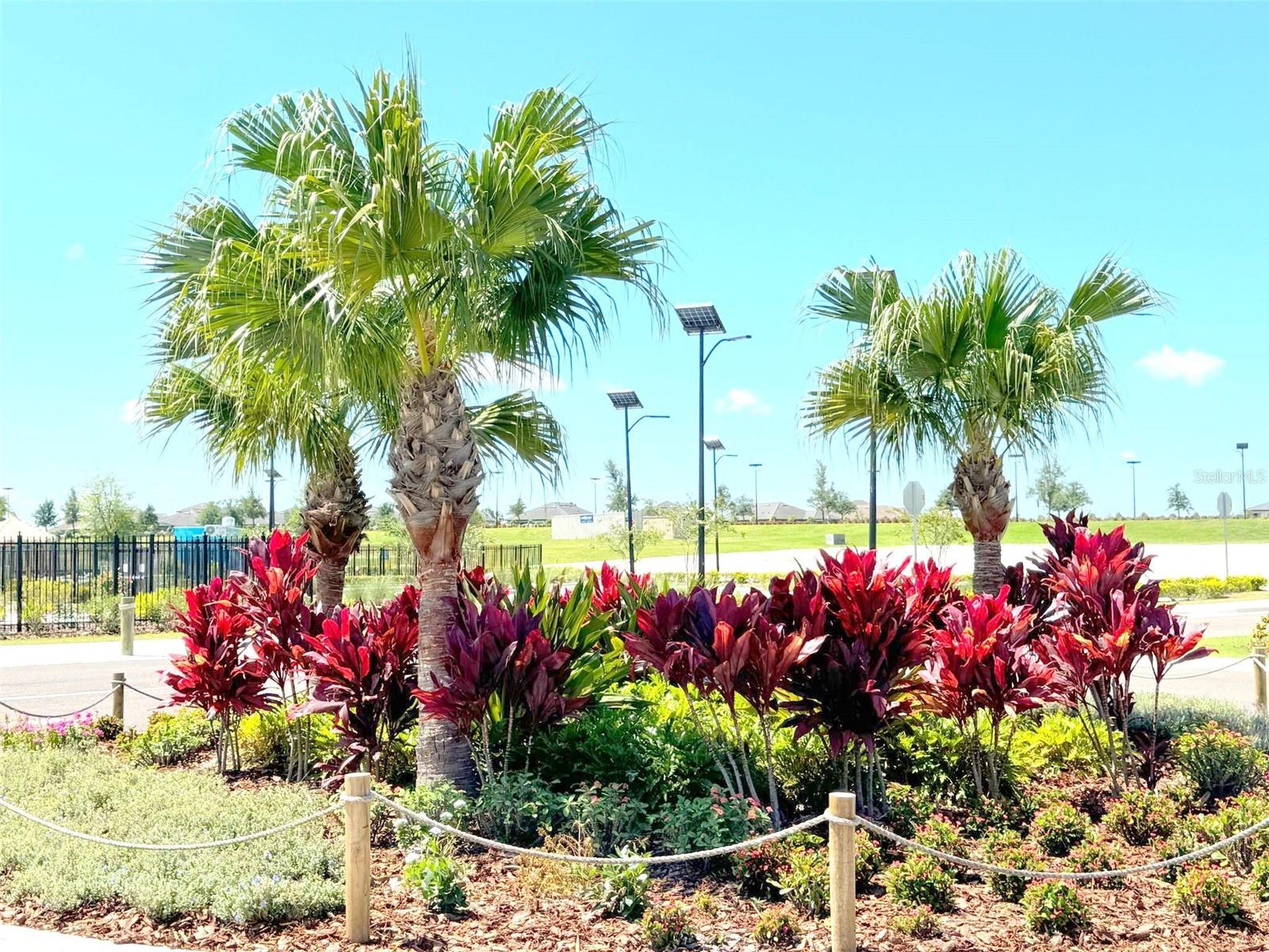 MIRADA TOWNHOMES - Residential Lease