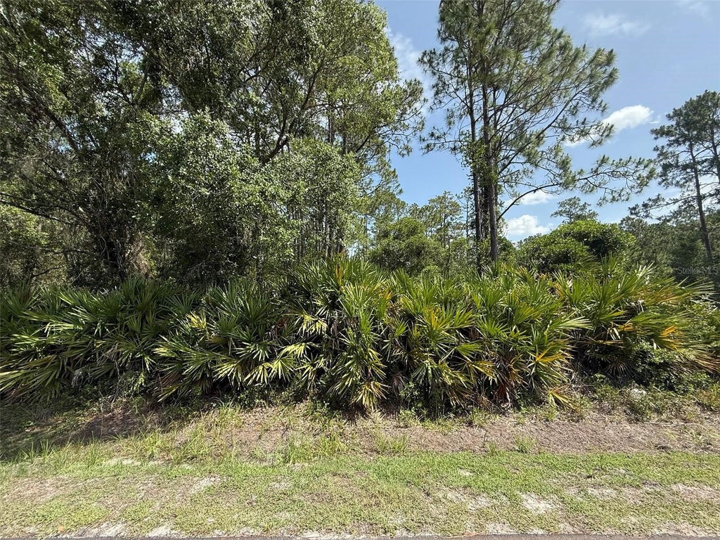 Photo of 132 Millican Road, Palatka, FL 32177 (MLS # K4903537)