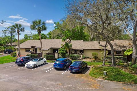 2993 ELDER COURT PALM HARBOR FL 34684