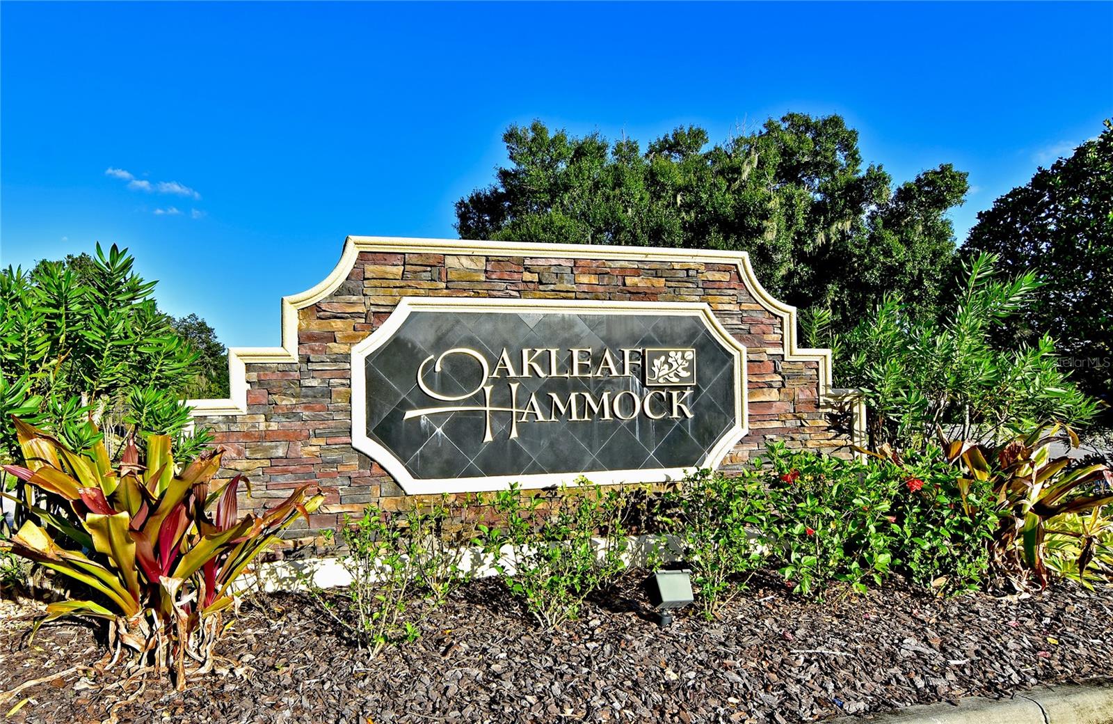 OAKLEAF HAMMOCK PH IV - Residential