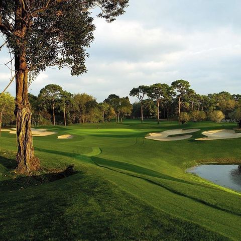 A home in PALM HARBOR