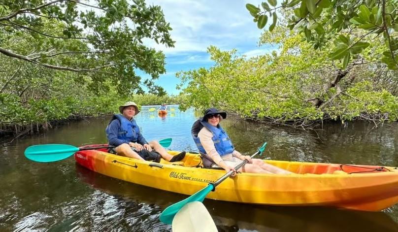 PALM COURT - Residential