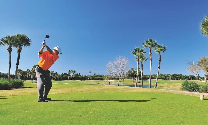 PALM COURT - Residential