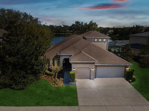 A home in WESLEY CHAPEL