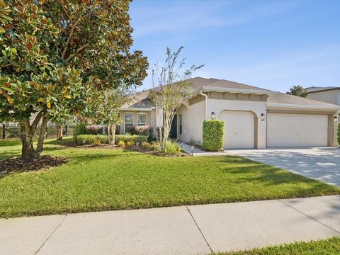 A home in WESLEY CHAPEL