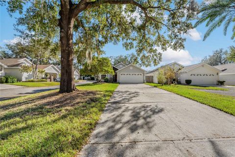 A home in PLANT CITY