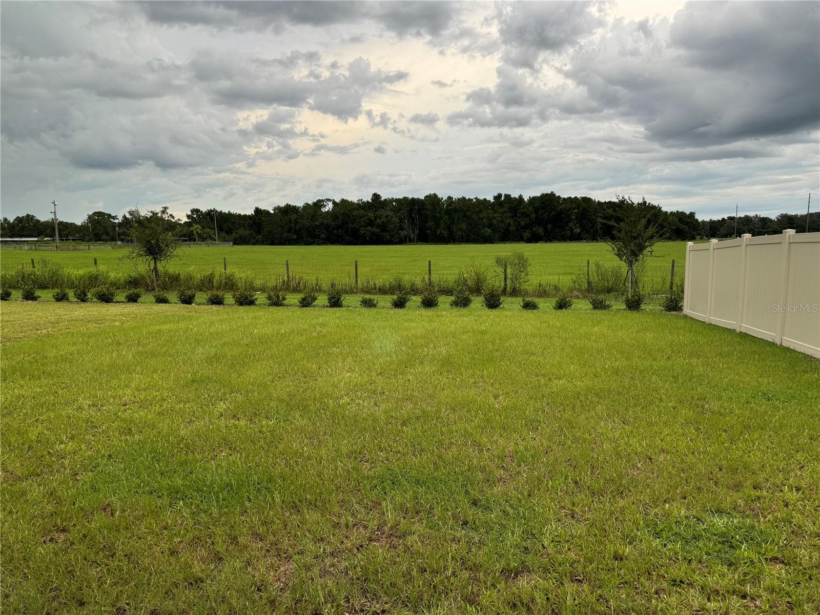 PASADENA POINT - Residential Lease