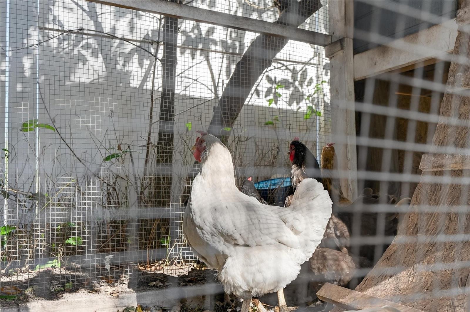 HARBOR OAKS ESTATES UNIT II - Residential