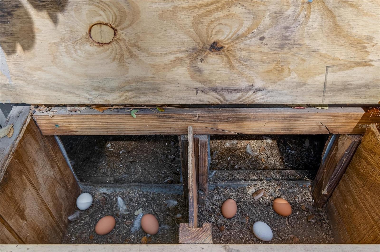 HARBOR OAKS ESTATES UNIT II - Residential