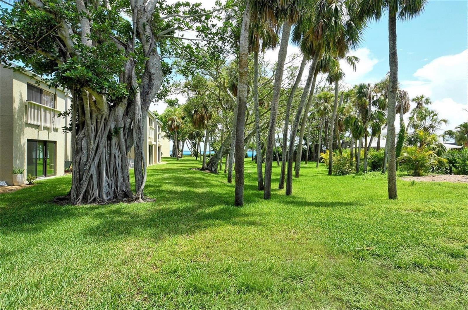 THE BANYAN BAY CLUB - Residential