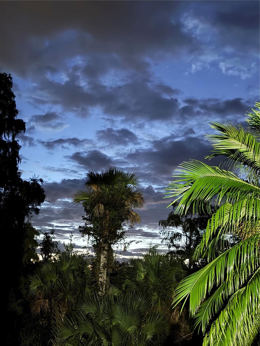 SOLIVITA PH IVC SEC 01 - Residential