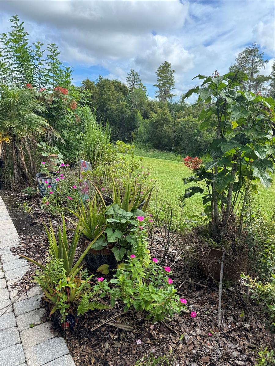 SOLIVITA PH IVC SEC 01 - Residential