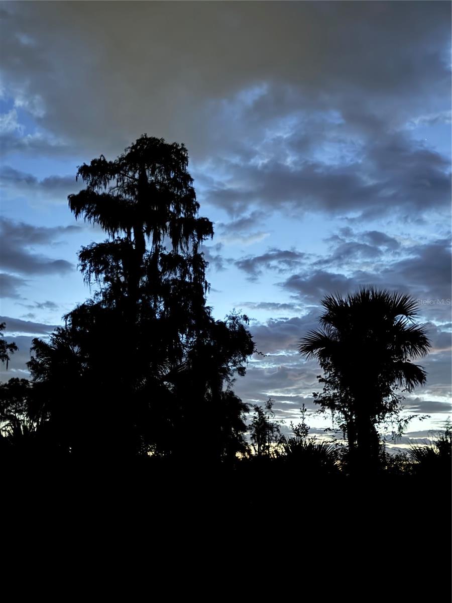 SOLIVITA PH IVC SEC 01 - Residential