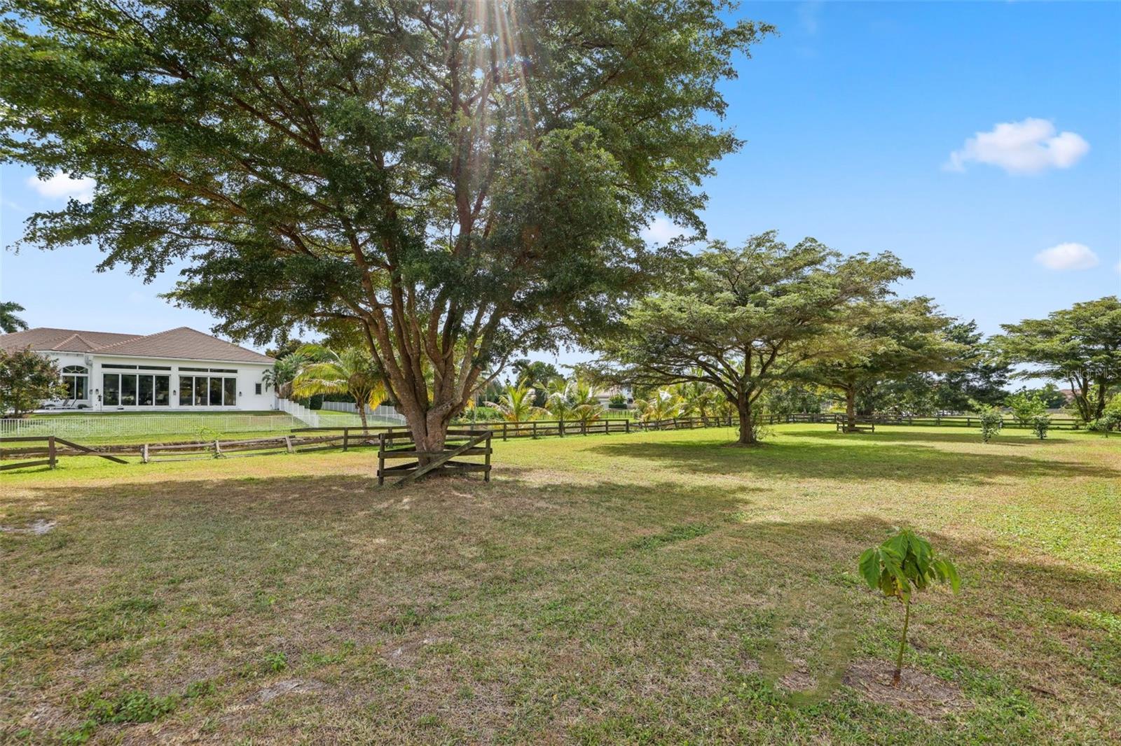 TIERRA DEL REY SOUTH - Residential Lease