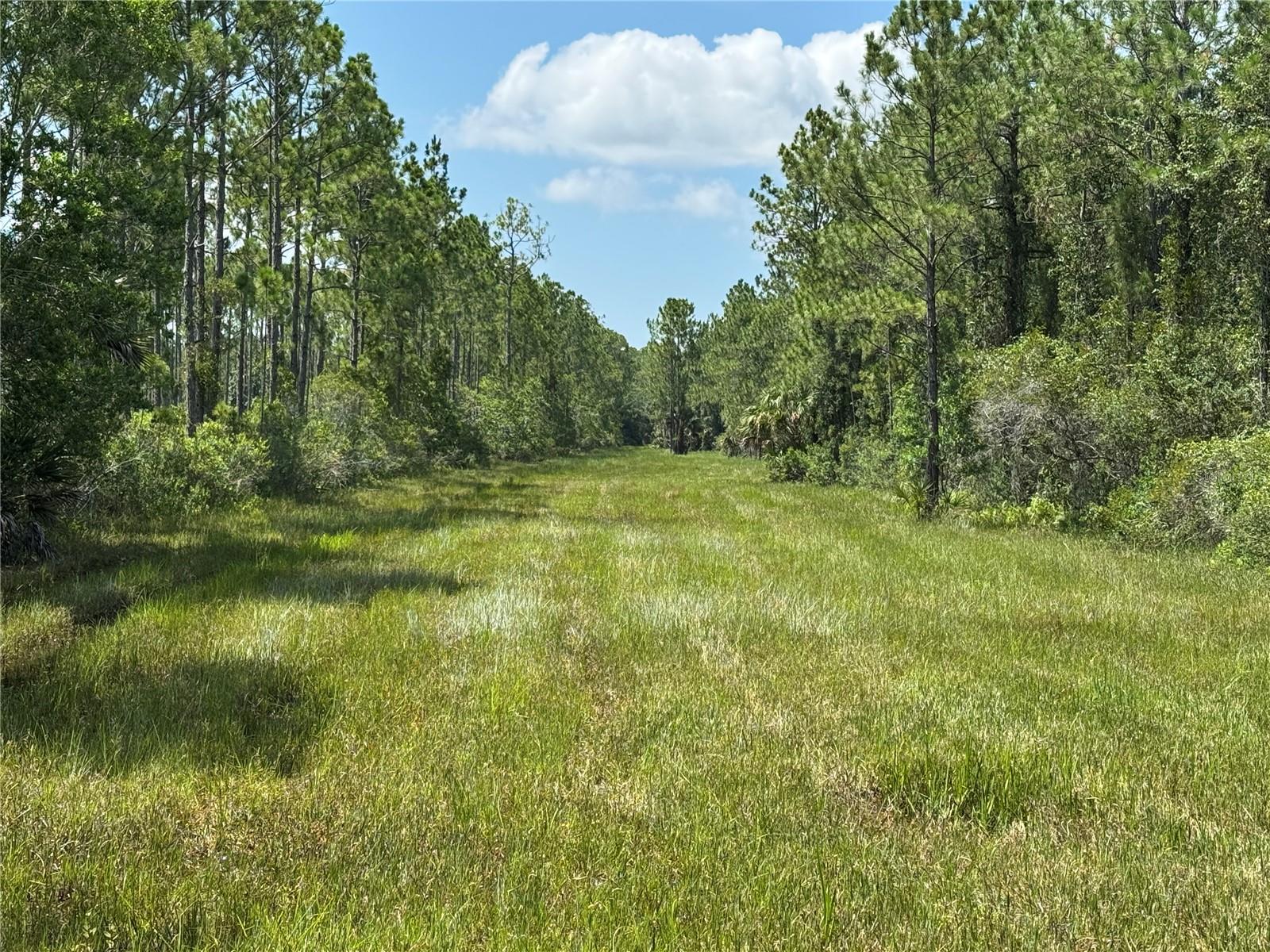 INDIAN RIVER PARK - Residential