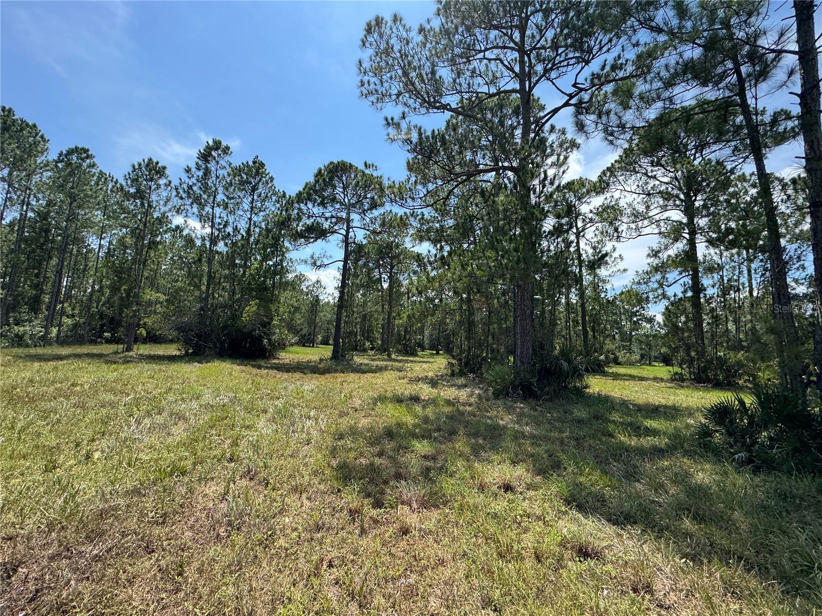 INDIAN RIVER PARK - Residential