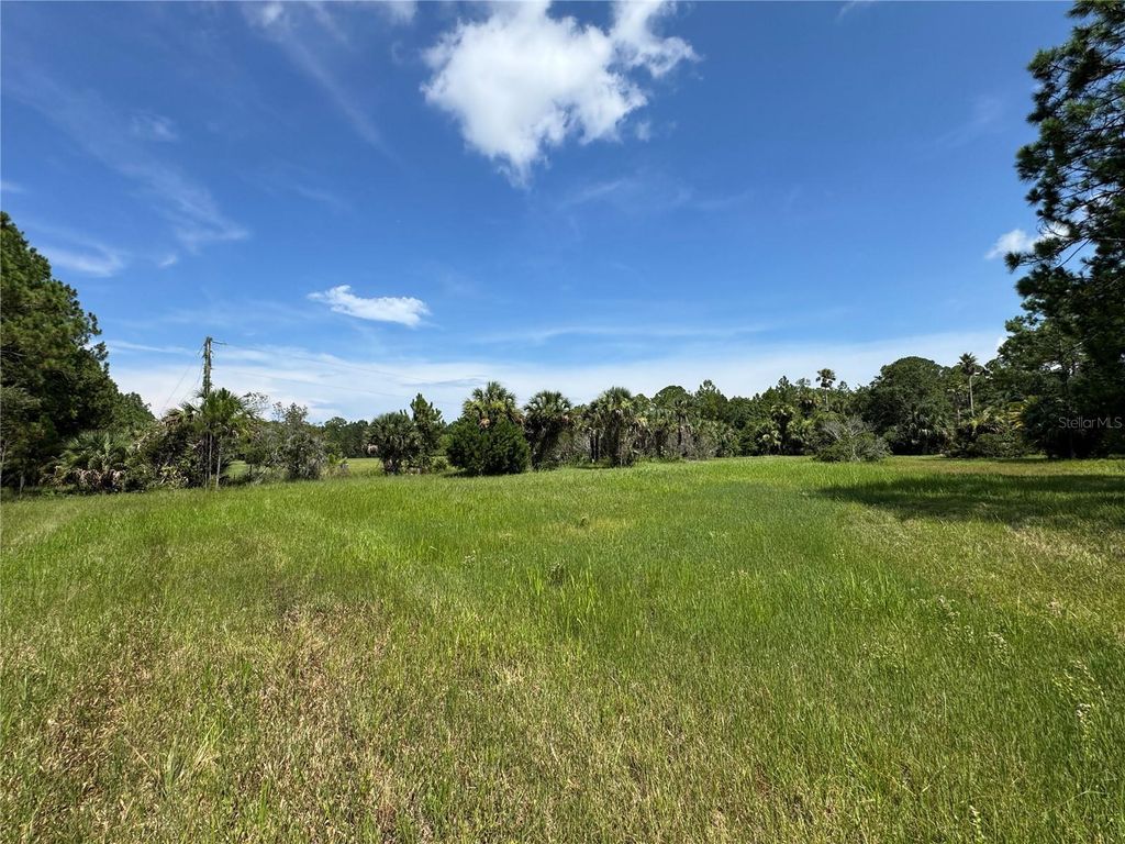 Photo of 4300 Justa Road, Mims, FL 32754 (MLS # O6387999)