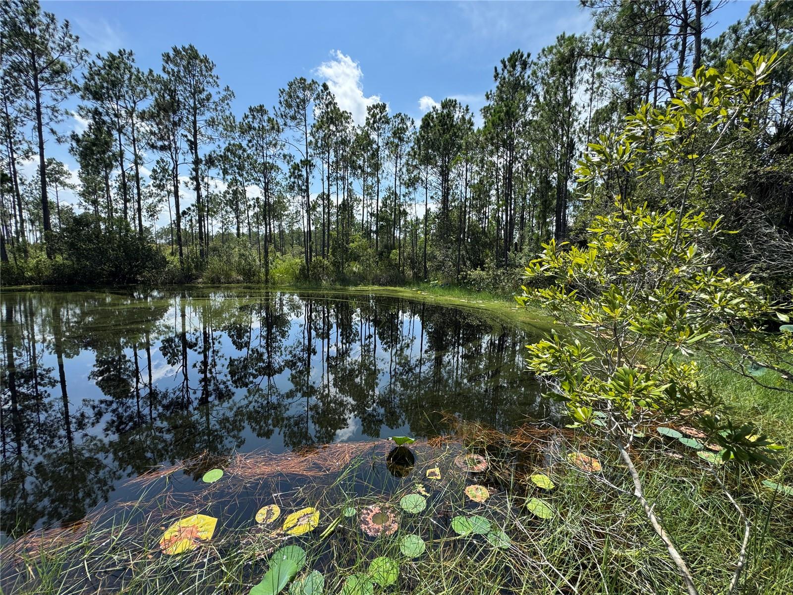 INDIAN RIVER PARK - Residential