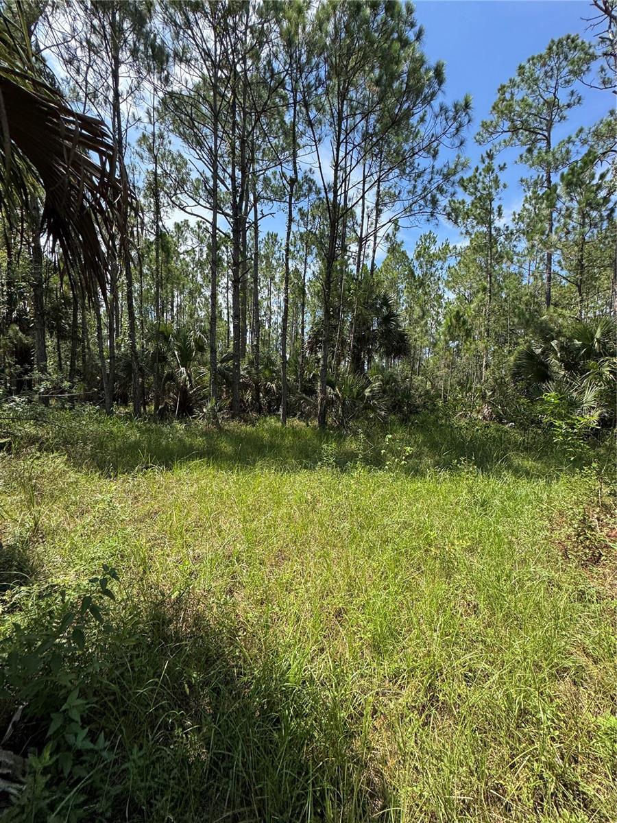 INDIAN RIVER PARK - Residential