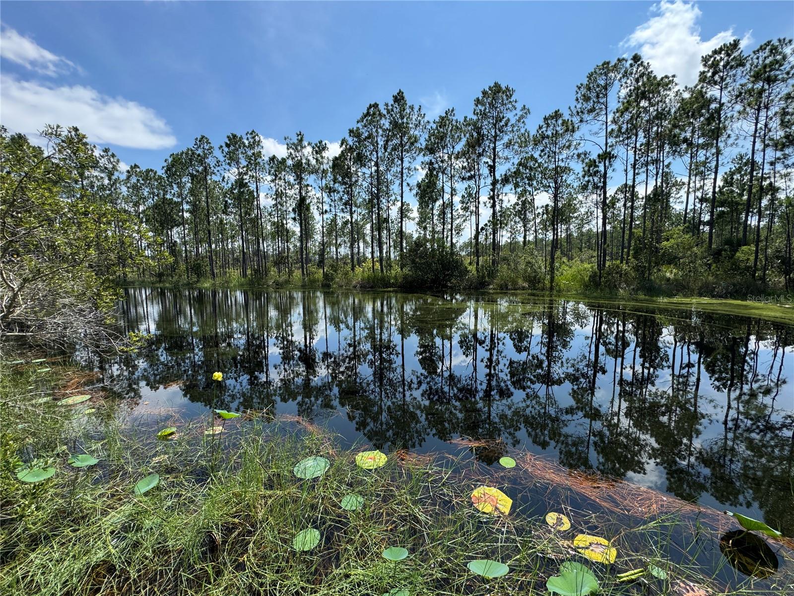 INDIAN RIVER PARK - Residential