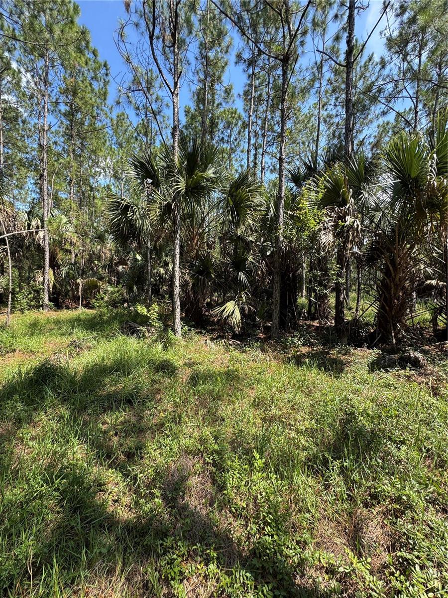 INDIAN RIVER PARK - Residential