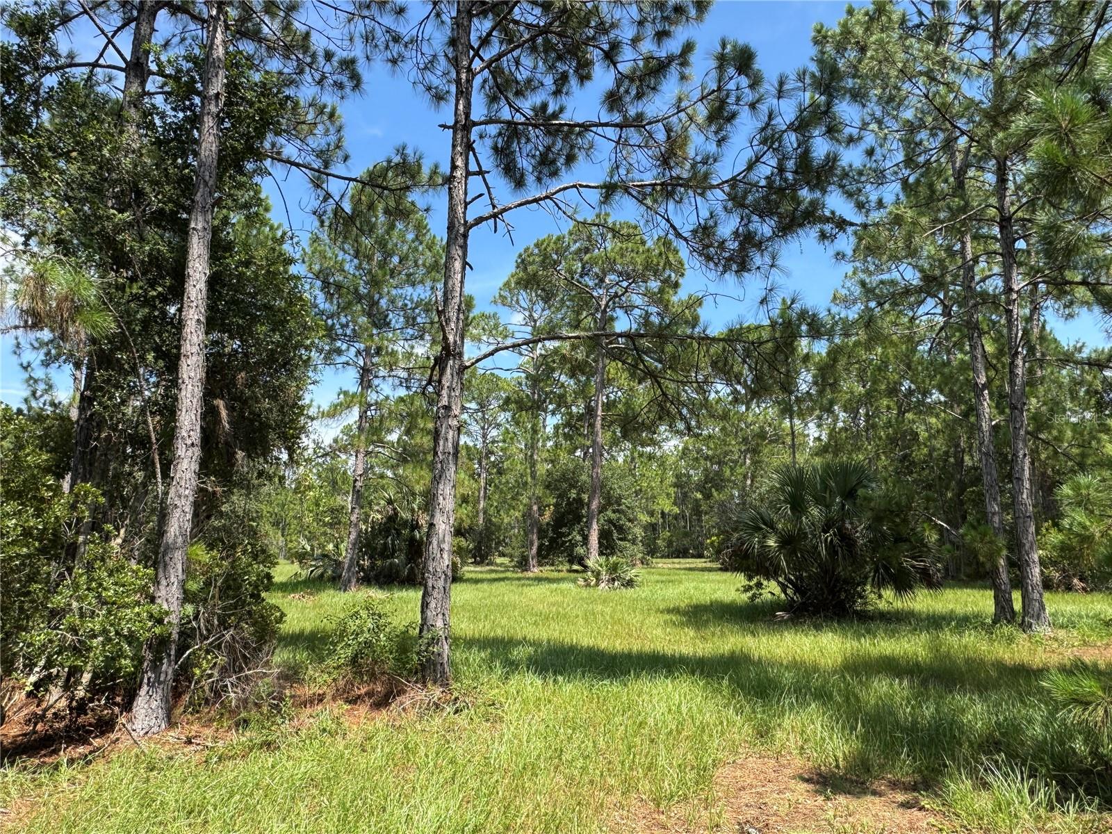 INDIAN RIVER PARK - Residential